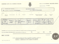 William Potts Death Certificate